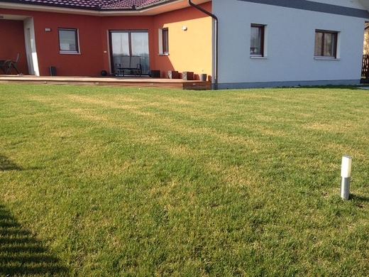 Záměna totálního herbicidu za selektivní. Nevratné poškození trávníku v počátečním stadiu.